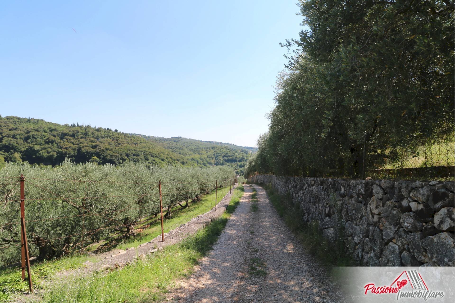 Foto 2 - Terreno agricolo Strada Del Borago, Verona - foto 2