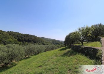 Foto 1 - Terreno agricolo Strada Del Borago, Verona - foto 1
