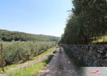 Foto 2 - Terreno agricolo Strada Del Borago, Verona - foto 2