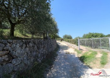 Foto 3 - Terreno agricolo Strada Del Borago, Verona - foto 3