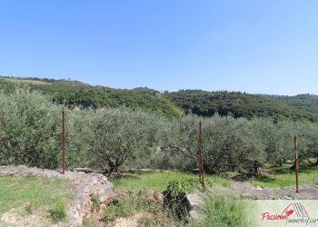 Foto 4 - Terreno agricolo Strada Del Borago, Verona - foto 4