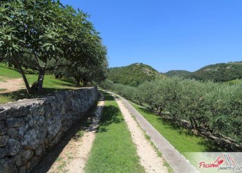 Foto 6 - Terreno agricolo Strada Del Borago, Verona - foto 6