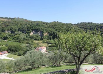 Foto 7 - Terreno agricolo Strada Del Borago, Verona - foto 7