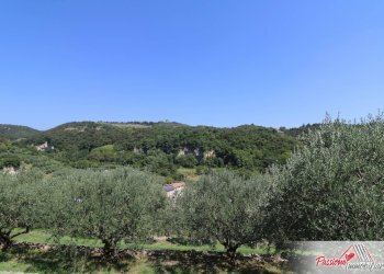 Foto 9 - Terreno agricolo Strada Del Borago, Verona - foto 9