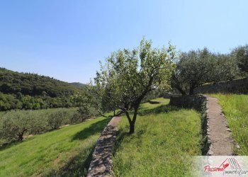 Foto 11 - Terreno agricolo Strada Del Borago, Verona - foto 11