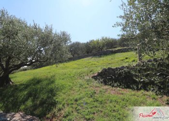 Foto 14 - Terreno agricolo Strada Del Borago, Verona - foto 14