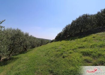 Foto 15 - Terreno agricolo Strada Del Borago, Verona - foto 15