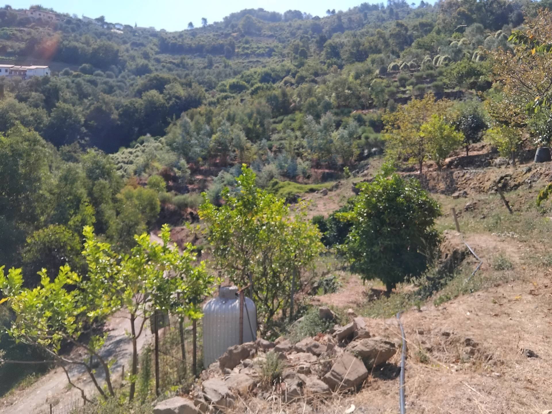 Foto 3 - Villa oria, Soldano - foto 3