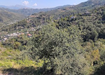 Foto 47 - Villa oria, Soldano - foto 47