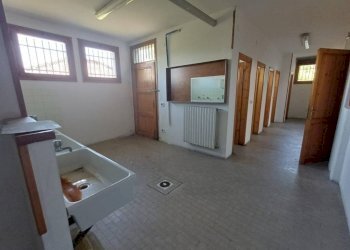 Cortile interno - Shed via Bologna, Novi di Modena - photo 9