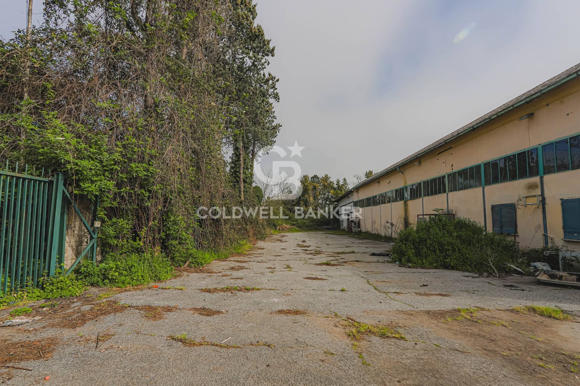 Foto 2 - Commercial Premises Via Tiberina, Roma - photo 2