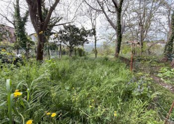 Terreno - Casa indipendente via Sant'Ansovino, Saludecio - foto 16