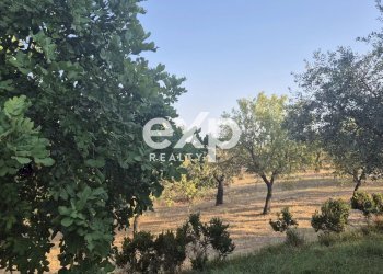 Villa Noto - foto 18