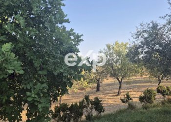 Villa Noto - foto 18