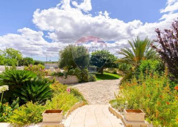 Giardino - Villa Contrada Pentimi
 
275, Locorotondo - foto 28