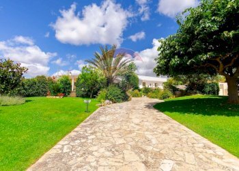 Giardino - Villa Contrada Pentimi
 
275, Locorotondo - foto 35