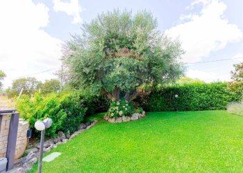 Giardino - Villa Contrada Pentimi
 
275, Locorotondo - foto 42