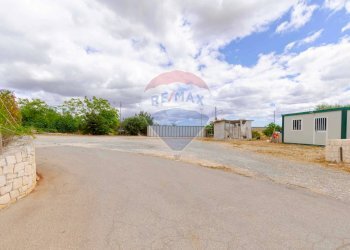 Casa all\'aperto - Villa Contrada Pentimi
 
275, Locorotondo - foto 47