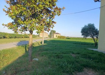 Terreno - Villa via Limidi, Soliera - photo 1