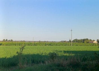 Terreno - Villa via Limidi, Soliera - photo 9