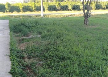 Terreno - Villa via Limidi, Soliera - photo 11