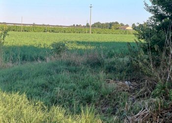 Terreno - Villa via Limidi, Soliera - photo 12