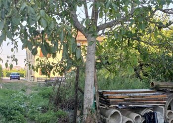 Giardino - Villa via Limidi, Soliera - photo 13