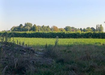 Terreno - Villa via Limidi, Soliera - photo 14