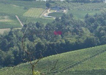 Vista - Rustico Località Sant'Anna, 56, Monforte d'Alba - foto 24