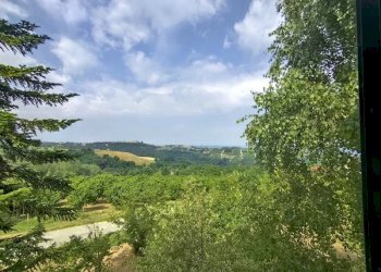 Casa indipendente Belvedere Langhe - foto 8