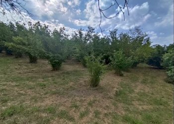 Casa indipendente Belvedere Langhe - foto 11