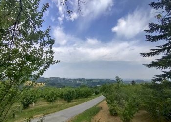 Casa indipendente Belvedere Langhe - foto 12