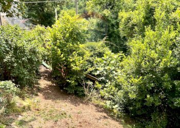 Casa semi indipendente località Scaruggia, snc 
 Comuneglia, Varese Ligure - foto 24