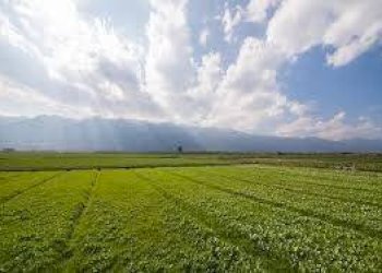 Terreno - Terreno agricolo via Limidi, Soliera - foto 1