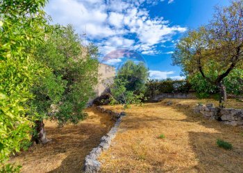 Giardino - Villa Via Salita Lucarelli
 
65, Crispiano - foto 12