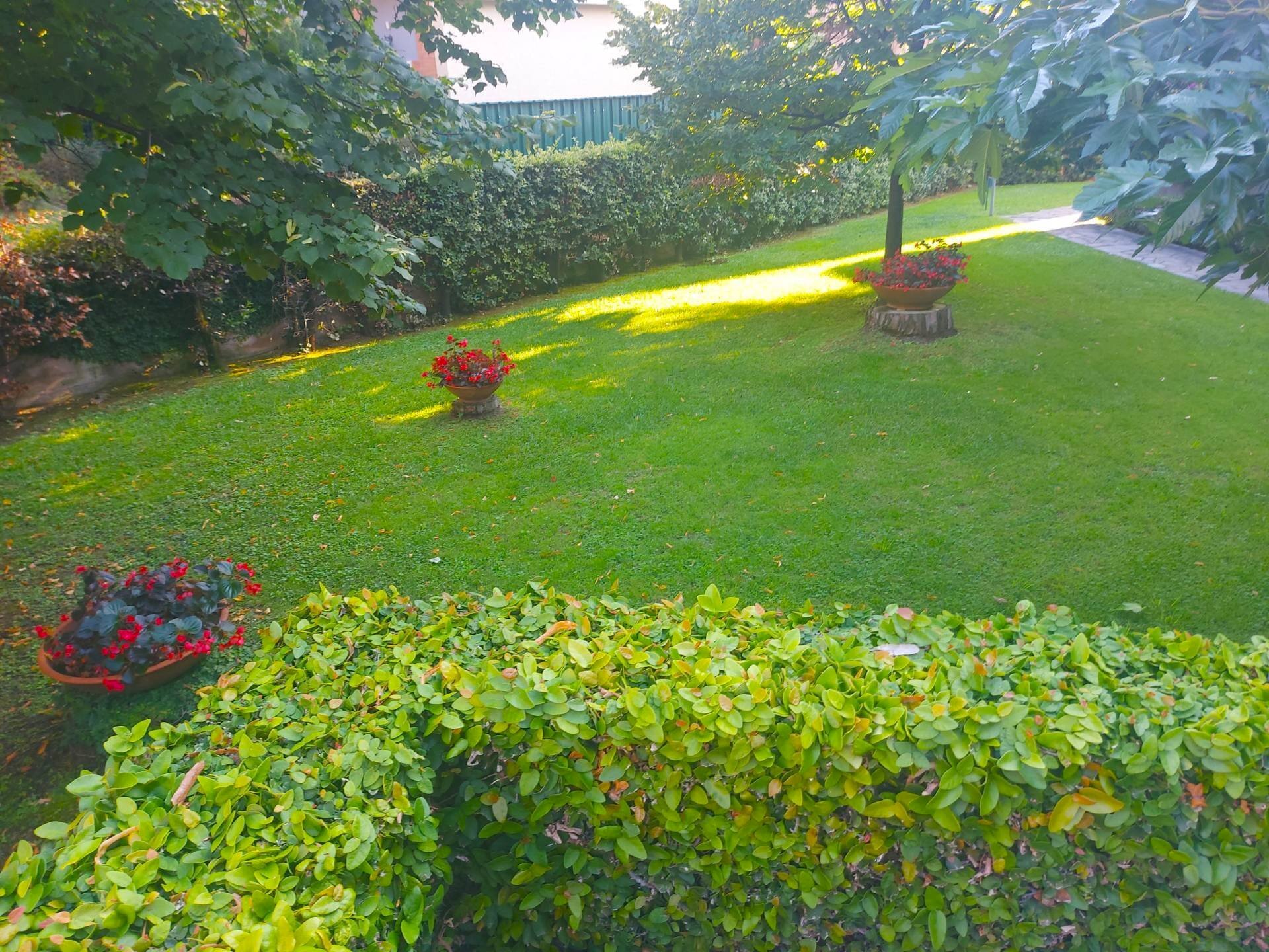 Foto 2 - Trilocale via matteotti, Borgio Verezzi - foto 2