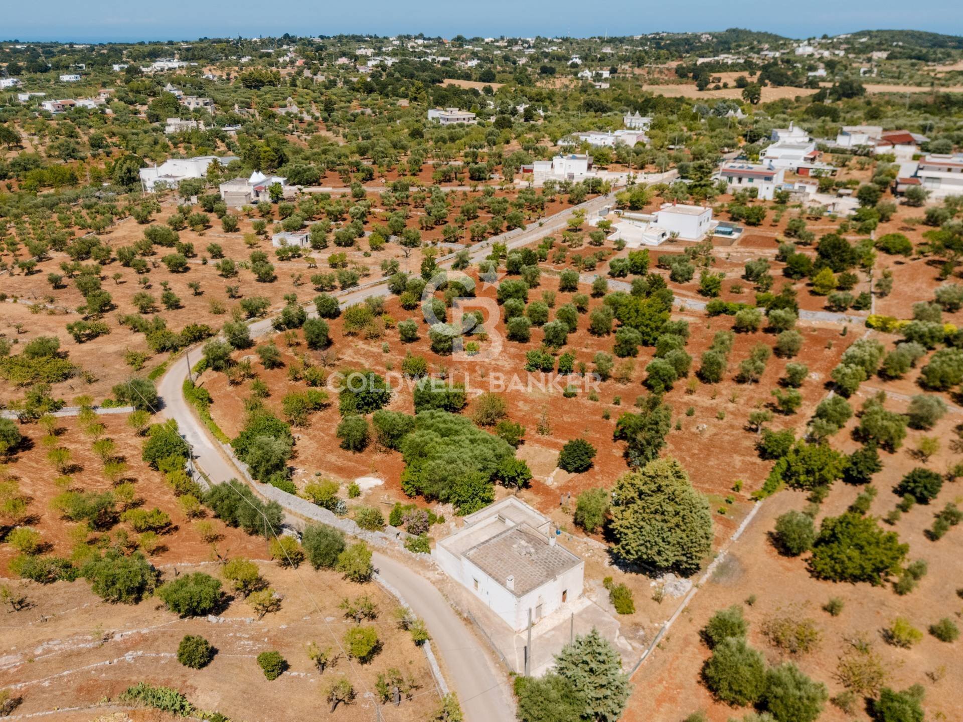 Foto 2 - Villa Contrada Scarciglia
 
236, Monopoli - foto 2