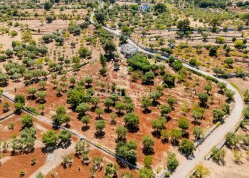 Foto 4 - Villa Contrada Scarciglia
 
236, Monopoli - foto 4