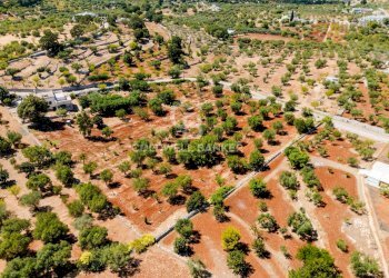 Foto 24 - Villa Contrada Scarciglia
 
236, Monopoli - foto 24