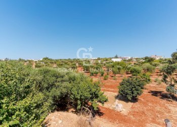 Foto 26 - Villa Contrada Scarciglia
 
236, Monopoli - foto 26