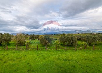 Giardino - Villa strada provinciale 17, Partinico - foto 22
