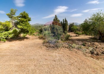 Giardino - Villa strada provinciale 17, Partinico - foto 39