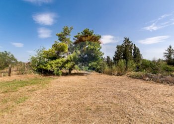 Giardino - Villa strada provinciale 17, Partinico - foto 43