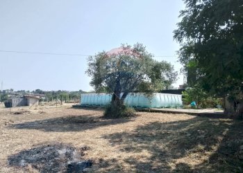 Giardino - Villa VIA PIANO CROPI
 
SNC, Grammichele - foto 5