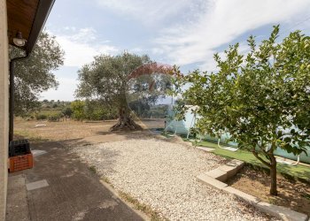 Giardino - Villa VIA PIANO CROPI
 
SNC, Grammichele - foto 15