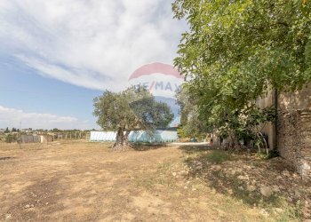 Giardino - Villa VIA PIANO CROPI
 
SNC, Grammichele - foto 16