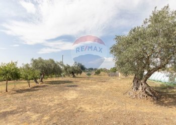 Giardino - Villa VIA PIANO CROPI
 
SNC, Grammichele - foto 17