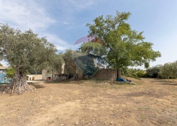 Giardino - Villa VIA PIANO CROPI
 
SNC, Grammichele - foto 19