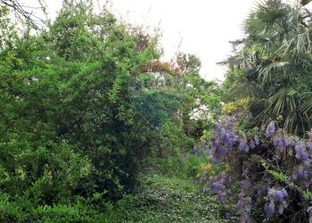 Giardino - Terreno edificabile Sernaglia della Battaglia - foto 14