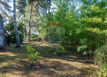 Giardino - Villa Via Giotto 8, Agrate Conturbia - foto 43